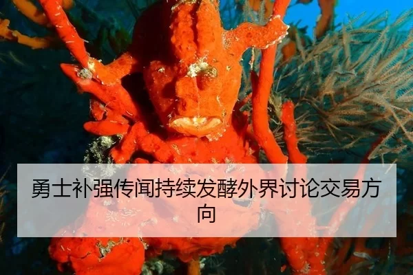 勇士补强传闻持续发酵外界讨论交易方向